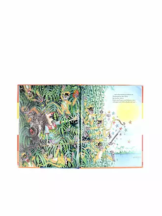 BELTZ & GELBERG VERLAG | Buch - Zilly Zingaro. Reise um die Welt | 